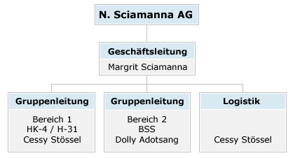 Organigramm N. Sciamanna AG